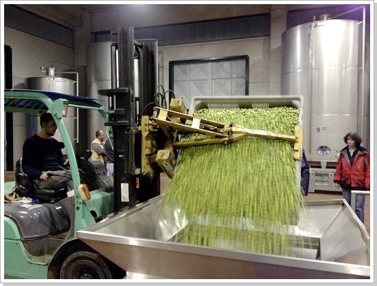 0331_sizilien_2012 (324).jpg